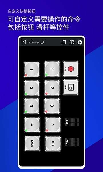 VIS图2