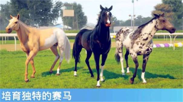 奔跑的马图3