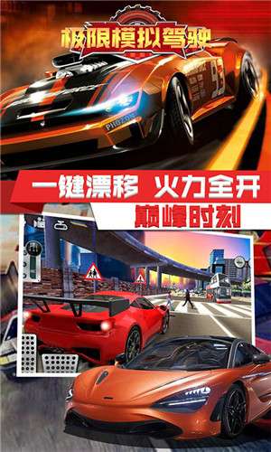 极限模拟驾驶图3