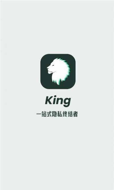king隐私隐藏最新版图1