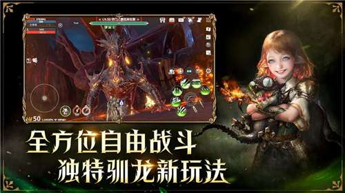龙之灵域官网版图3