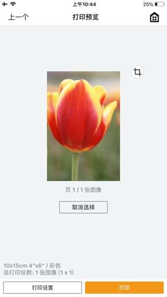 佳能打印图1