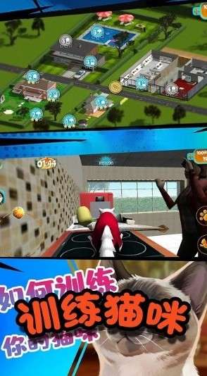 极速流浪猫最新版图4