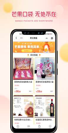 芒果口袋图2