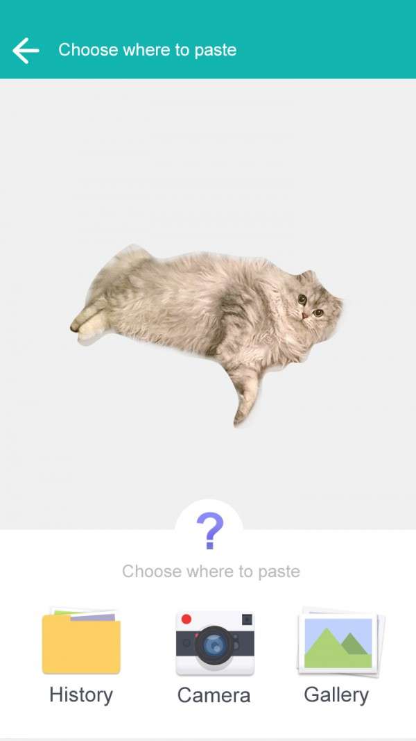 抠图神器飞力猫图1