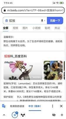 狐猴浏览器安卓版图2