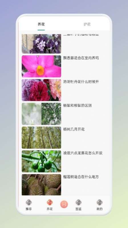 拍照识花识别植物图2