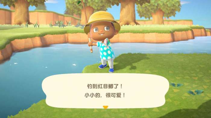 动物之森图3