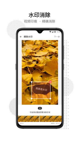 闪电去水印图1