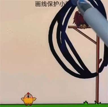 画线保护小鸡图2