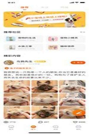 财猫双犬图2