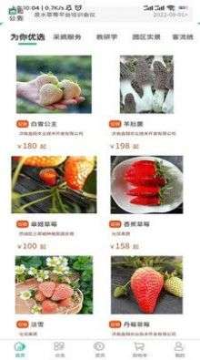 泉水(草)莓图1