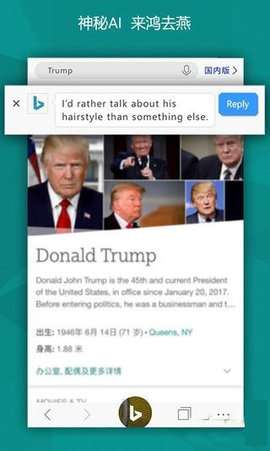 必应国际版图1