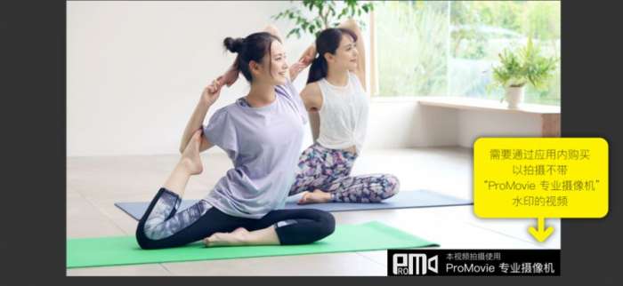 ProMovie免费版图2