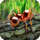 蚂蚁模拟器和谐版