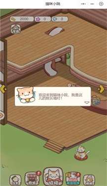 猫咪小院图3