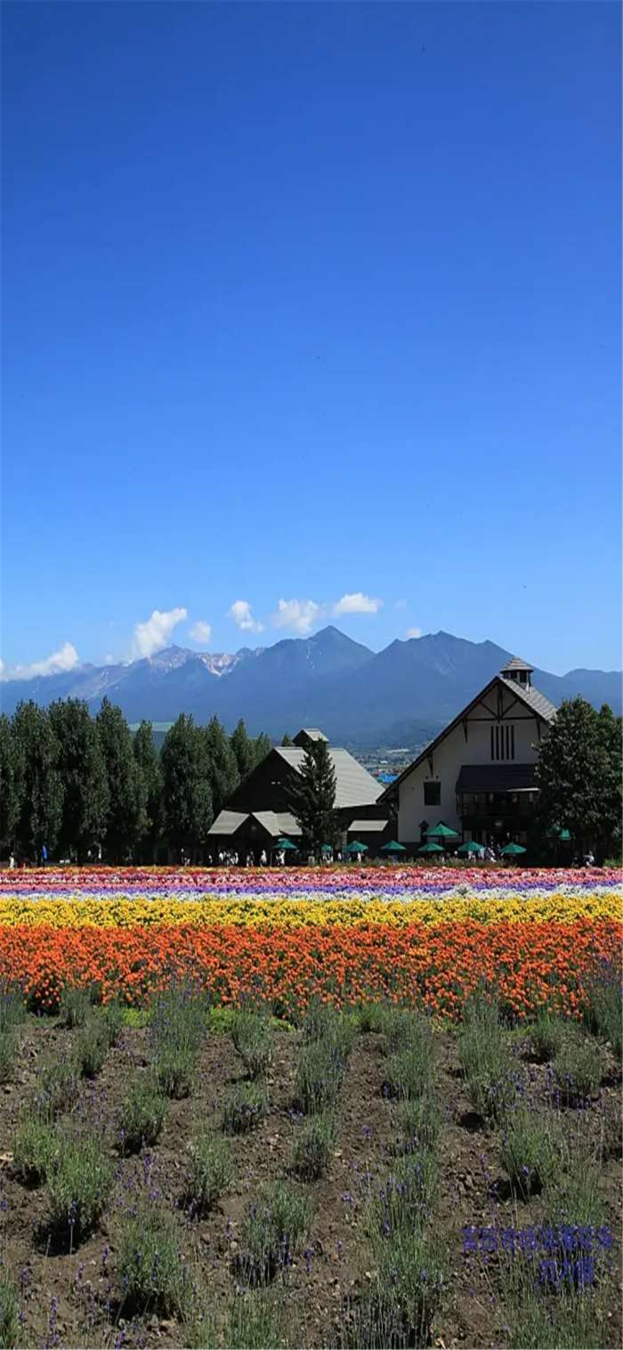 微信农场背景图图5