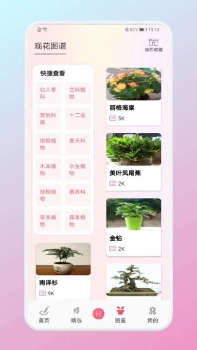 养花大掌柜图2