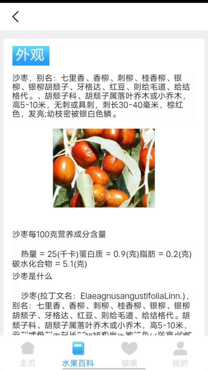 口袋水果图1