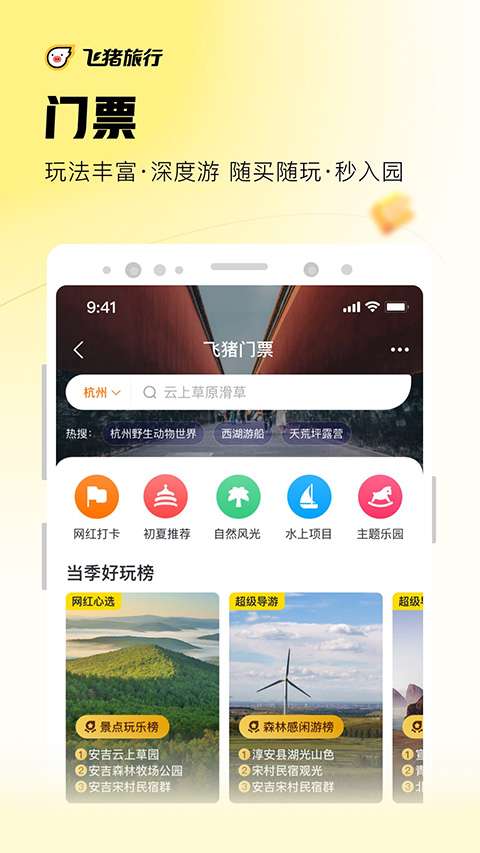 飞猪图1