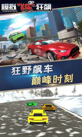 模拟飞车狂飙图3