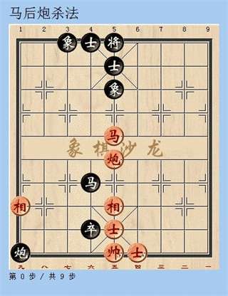 天天象棋官方版图19