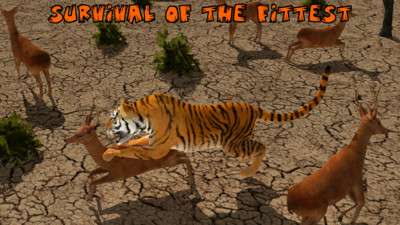 终极狮虎模拟图1