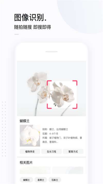 简单搜索图3