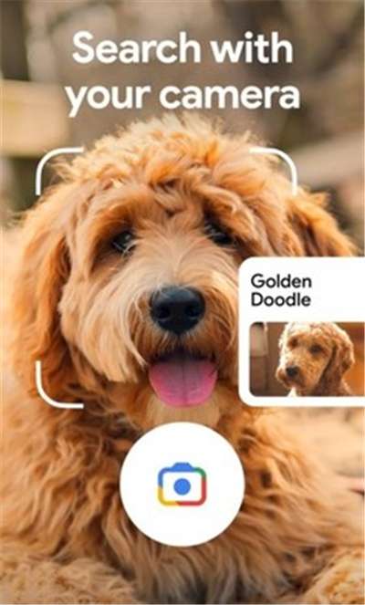 谷歌搜索引擎google镜像图2