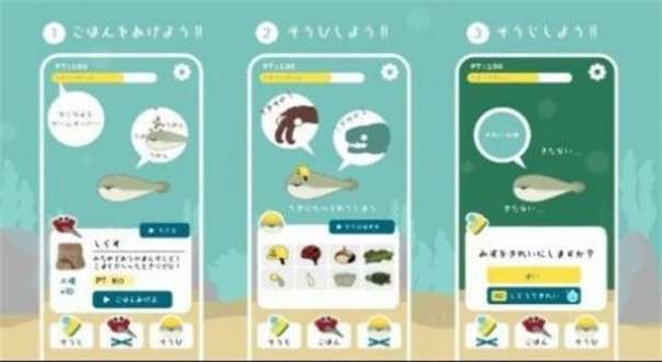 养萨卡班甲鱼图5