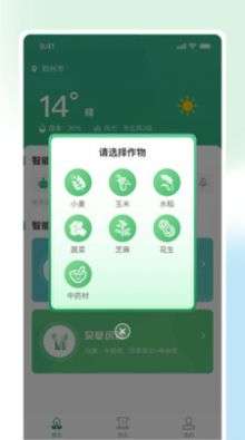 耘苗拍图1