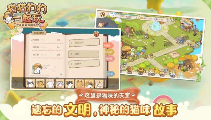 猫猫狗狗一起玩图3