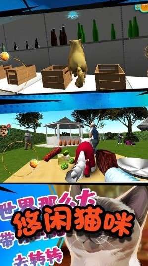 极速流浪猫最新版图1
