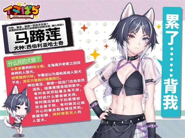 犬娘乐园图3