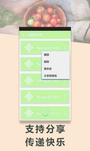 变声专家图2