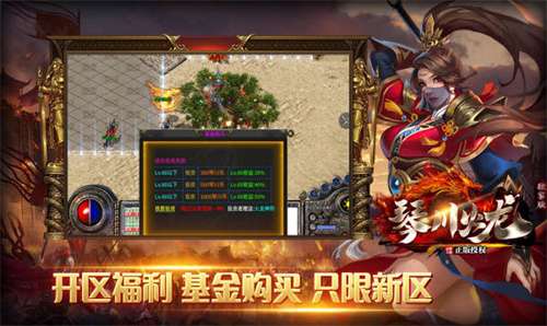 琴川传奇版本手游图3