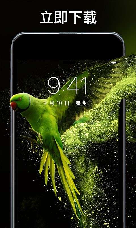 灵猫壁纸大全去水印版图3
