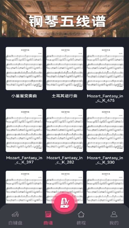指尖上的钢琴大师图2
