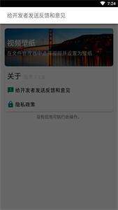 V壁纸图2