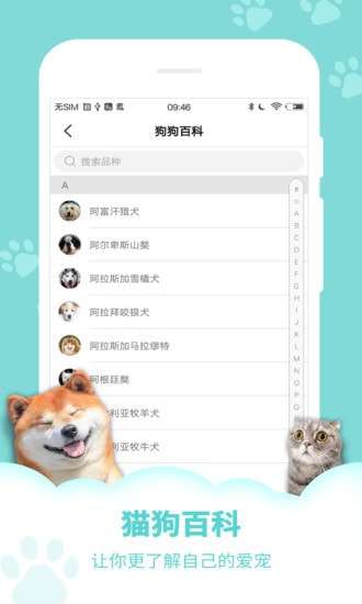狗语翻译器图4