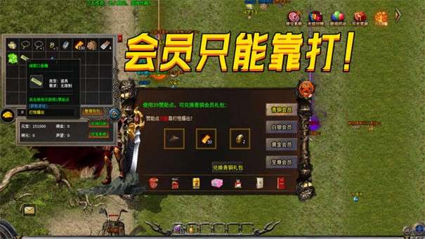 三五176小极品图3