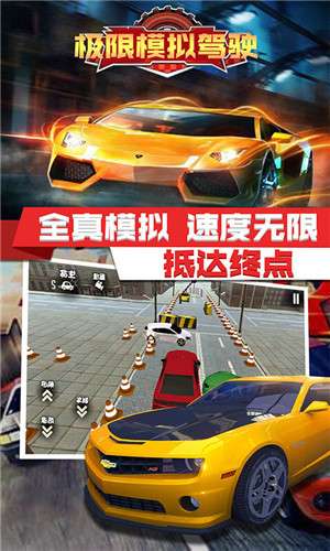 极限模拟驾驶图1