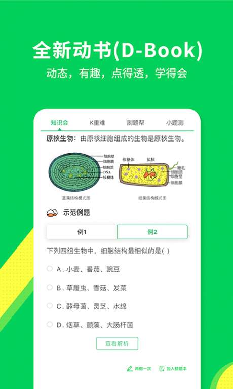 包学习图3