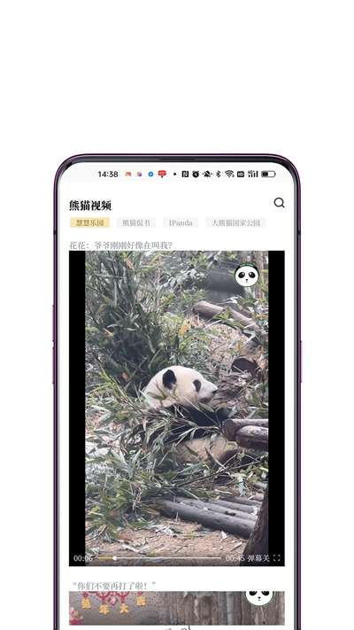 看熊猫电子杂志图2