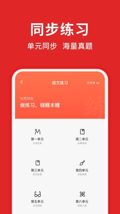 题拍拍2024图2