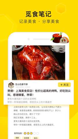 觅食蜂图4