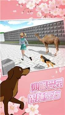 樱花盒子1.038.22图5