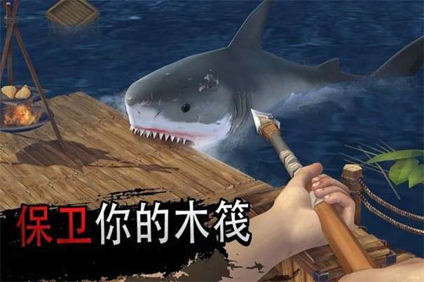 筏子上的生存图2