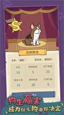 狗生模拟器免广告版图5