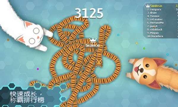 Snakeio 图1